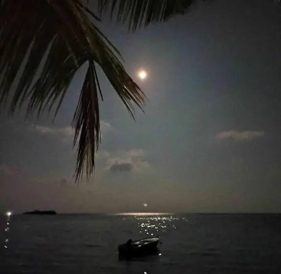 پانسیون Vegas Thoddoo Maldives