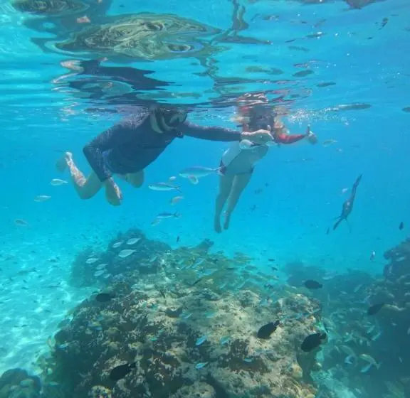 پانسیون Vegas Thoddoo Maldives