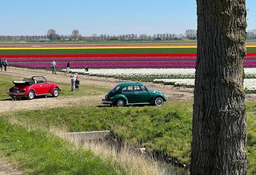 B&b Studio/appartement Bij Zee