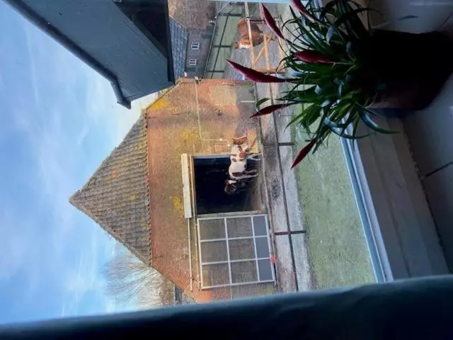 Aamiaismajoitus (B&B) Bb Sunshine