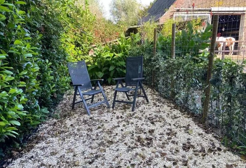 Aamiaismajoitus (B&B) Bb Sunshine