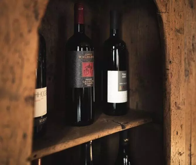 ホテル Ansitz Heufler