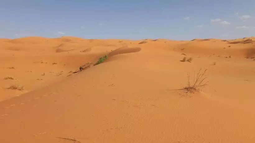 ホテル Akour Dessert Camp