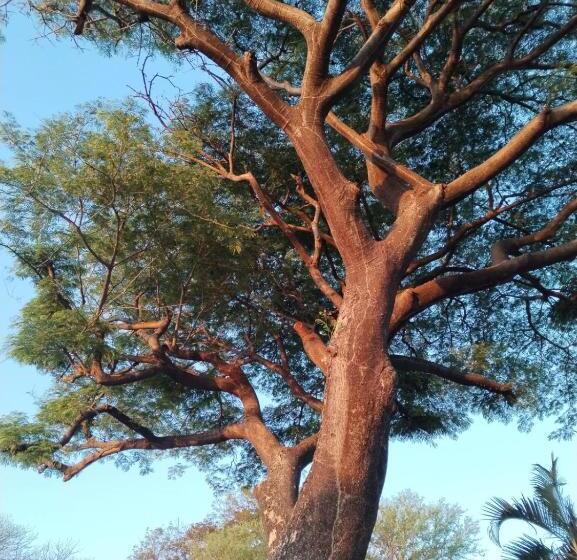 هتل Chilamar Surf Lodge