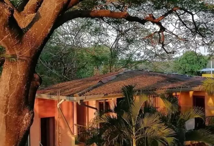 هتل Chilamar Surf Lodge