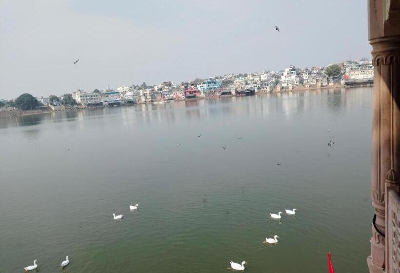 Отель Old Moon Cafe