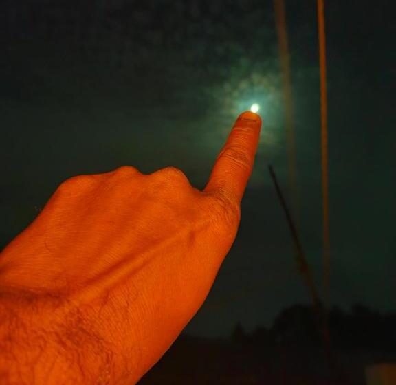 Отель Old Moon Cafe