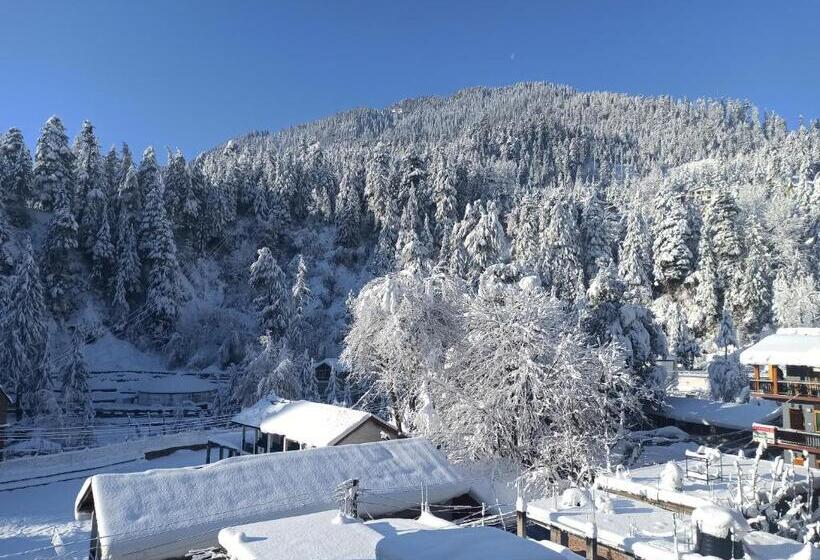 פנסיון Wood Stone Homestay