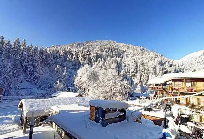 ペンション Wood Stone Homestay