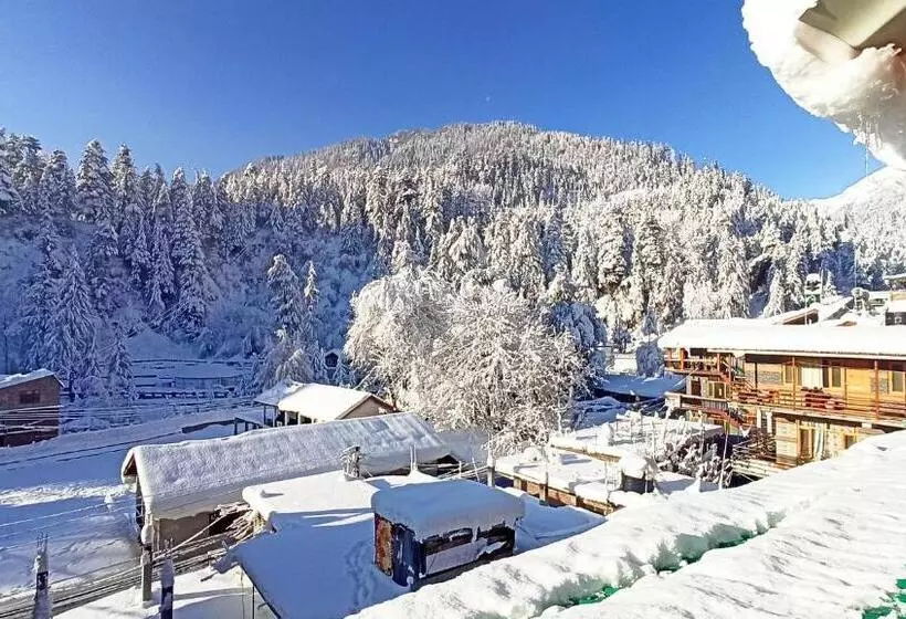 ペンション Wood Stone Homestay