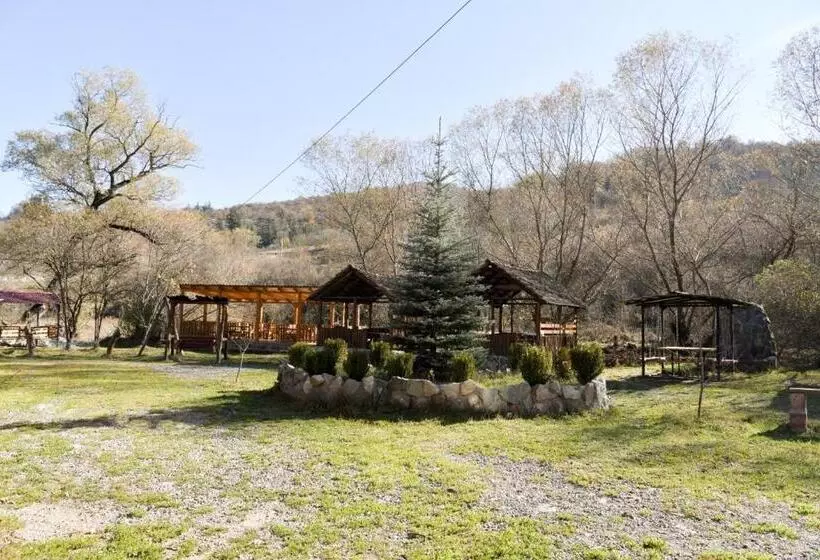 ユースホステル Haleb Hotel Complex