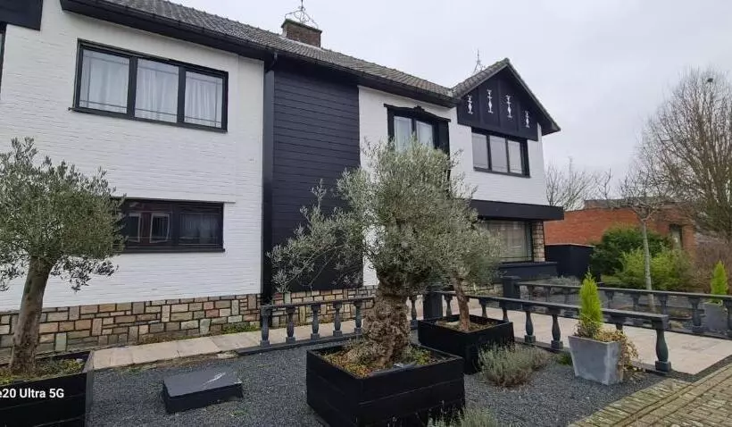 ベッドアンドブレックファースト Lazy Olives