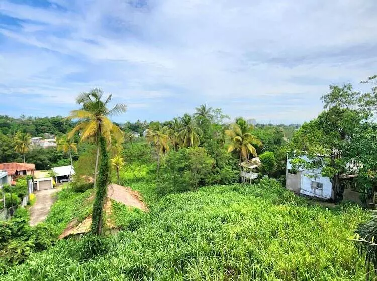 ベッドアンドブレックファースト Cozy Luxury Room With Beautiful Views