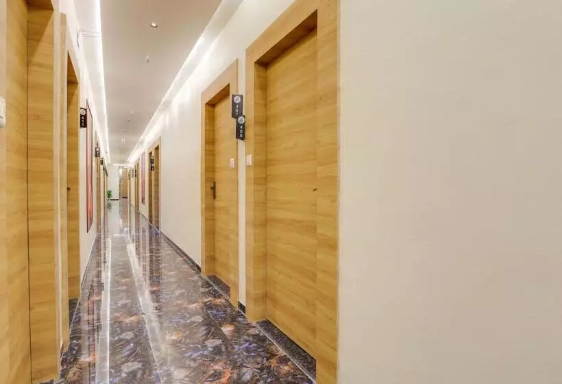 Collection O Hotel Rooms