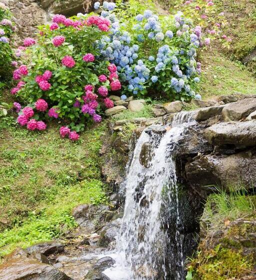 בית מלון כפרי Agriturismo Molinvecchio
