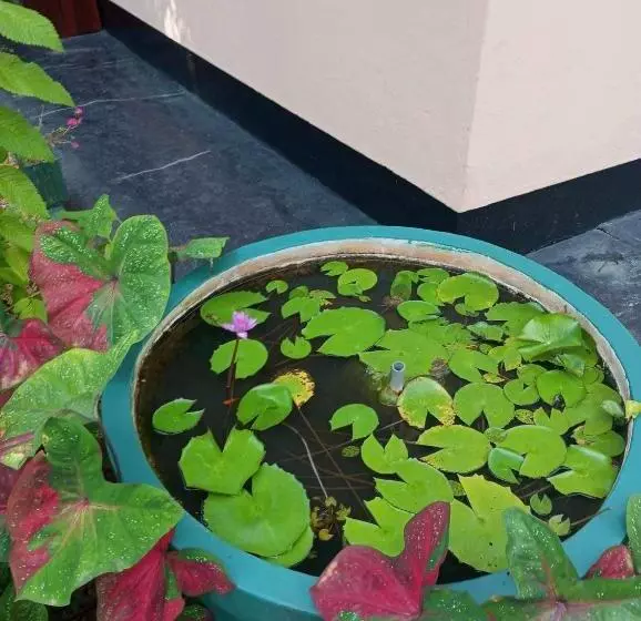 ホテル Aura Beach Villa