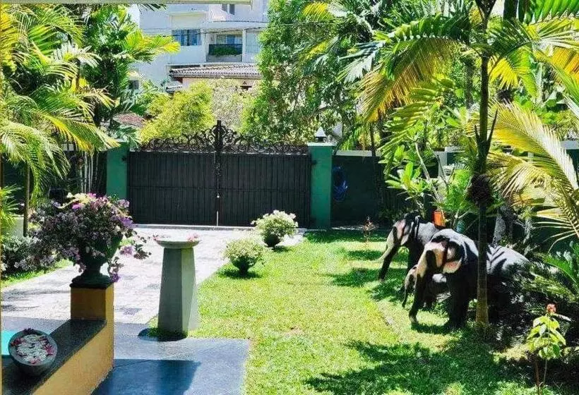 ホテル Aura Beach Villa