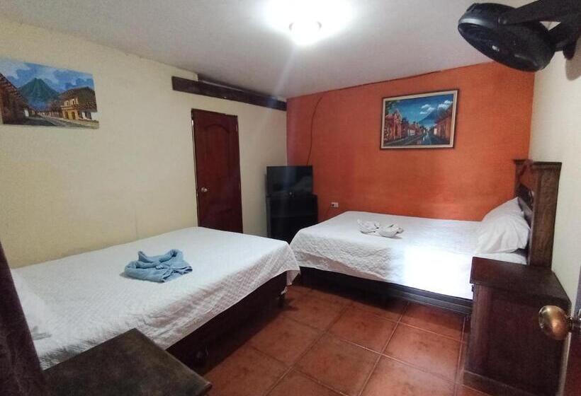 هتل City Of Dreams Antigua