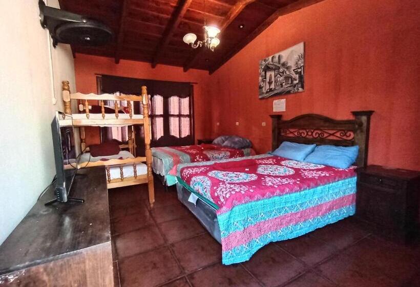 هتل City Of Dreams Antigua