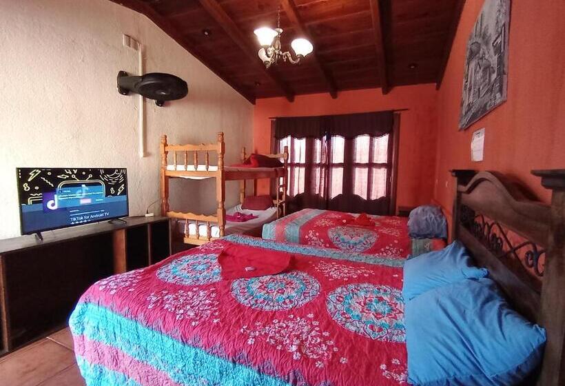 هتل City Of Dreams Antigua