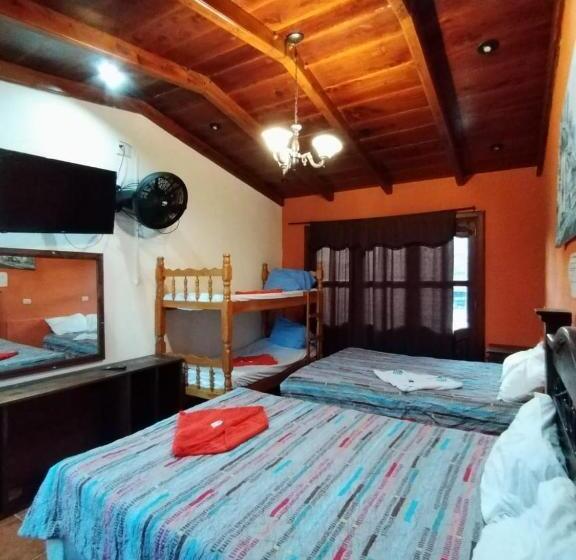 هتل City Of Dreams Antigua