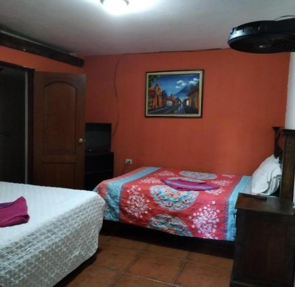 هتل City Of Dreams Antigua