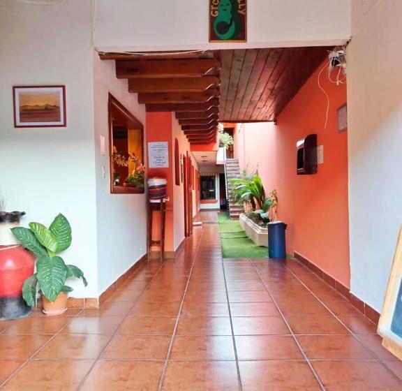 هتل City Of Dreams Antigua