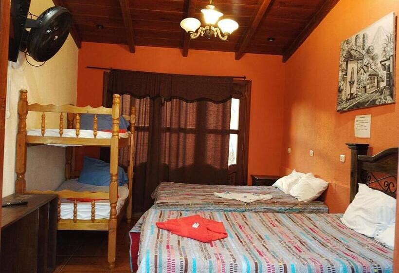 هتل City Of Dreams Antigua