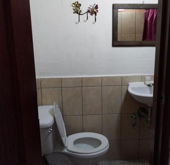 هتل City Of Dreams Antigua