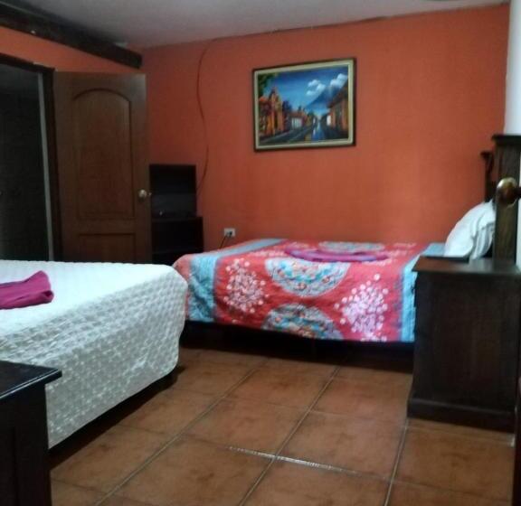 هتل City Of Dreams Antigua