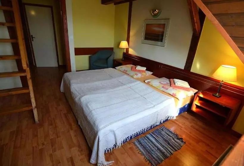 Hotelli Europenzión Salaš