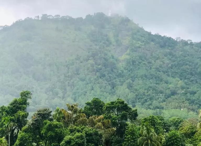 ホテル Green View Peak