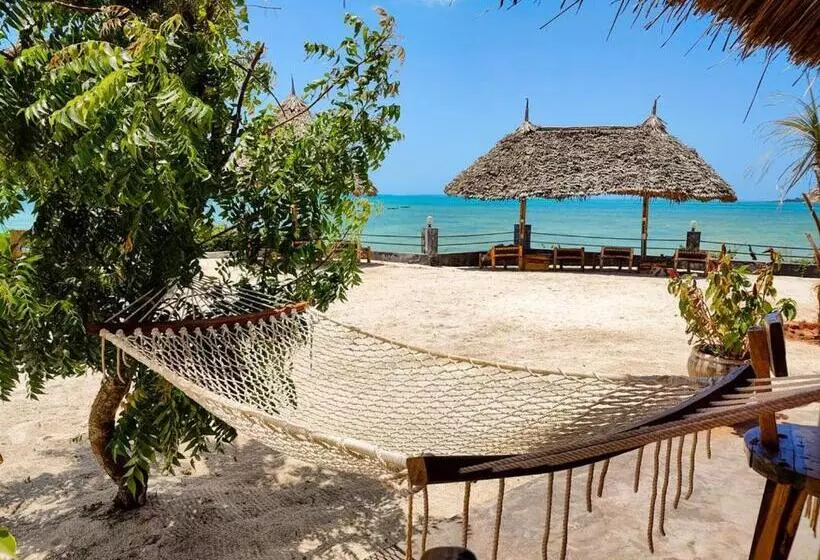 Hotelli Paradise City