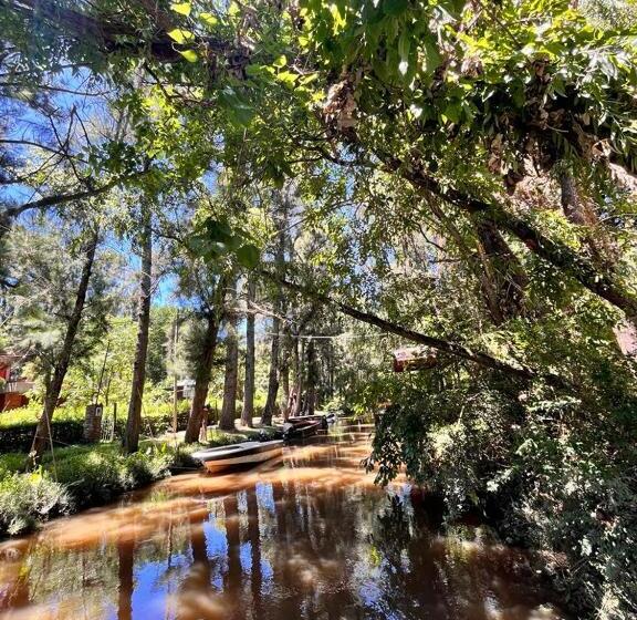 Mostrotel   Tu Hotel En El Delta