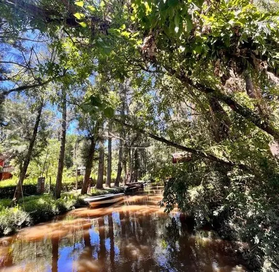 Mostrotel   Tu Hotel En El Delta