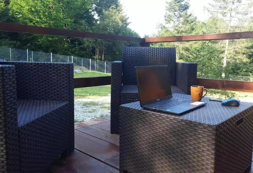 ペンション Cabana Armonia Naturii