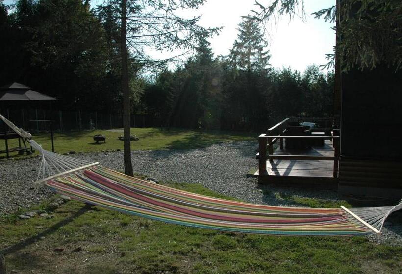 پانسیون Cabana Armonia Naturii