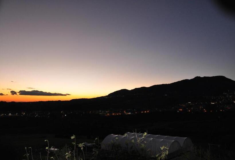 膳宿费 La Vecchia Lanterna