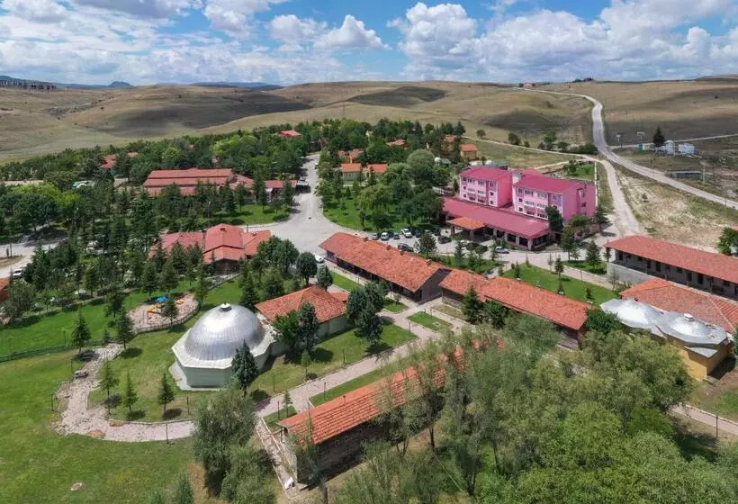 リゾートホテル Ağaoğlu My Termal