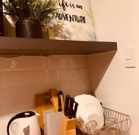 Young S Haven  Horizons 101 Condominium