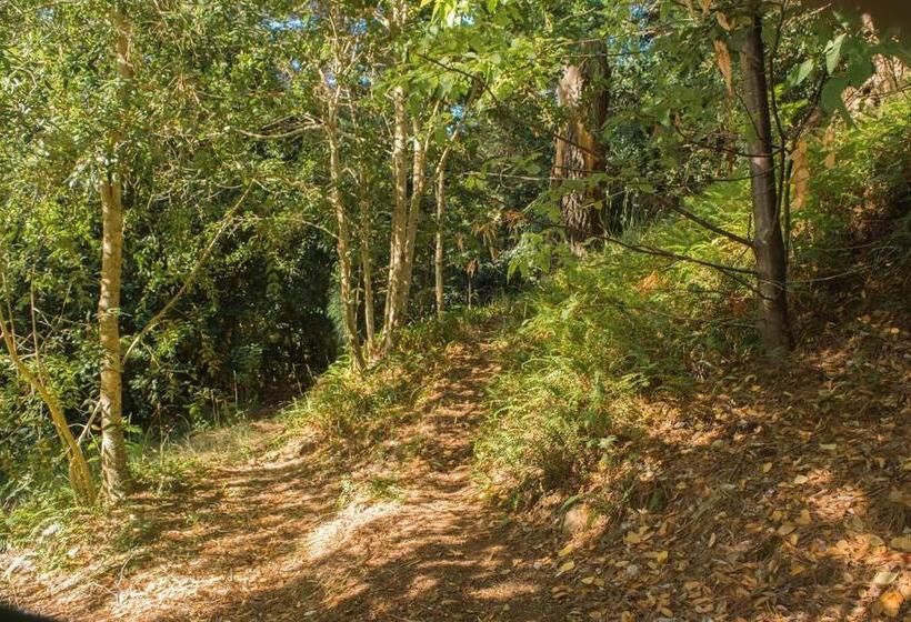 تختخواب و صبحانه Celestial Inn