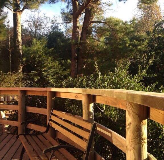 تختخواب و صبحانه Celestial Inn