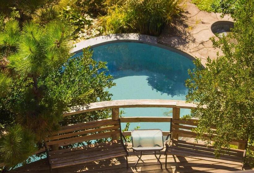 تختخواب و صبحانه Celestial Inn