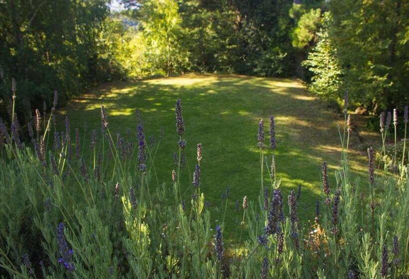 تختخواب و صبحانه Celestial Inn