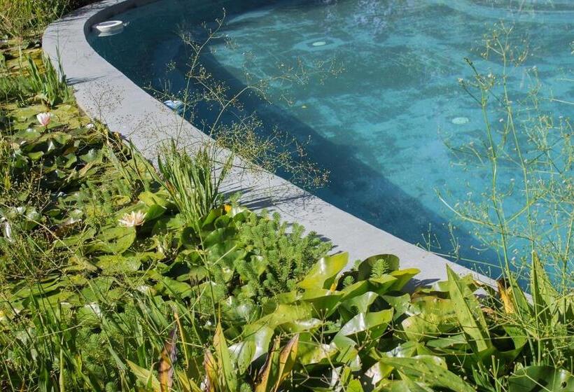 تختخواب و صبحانه Celestial Inn