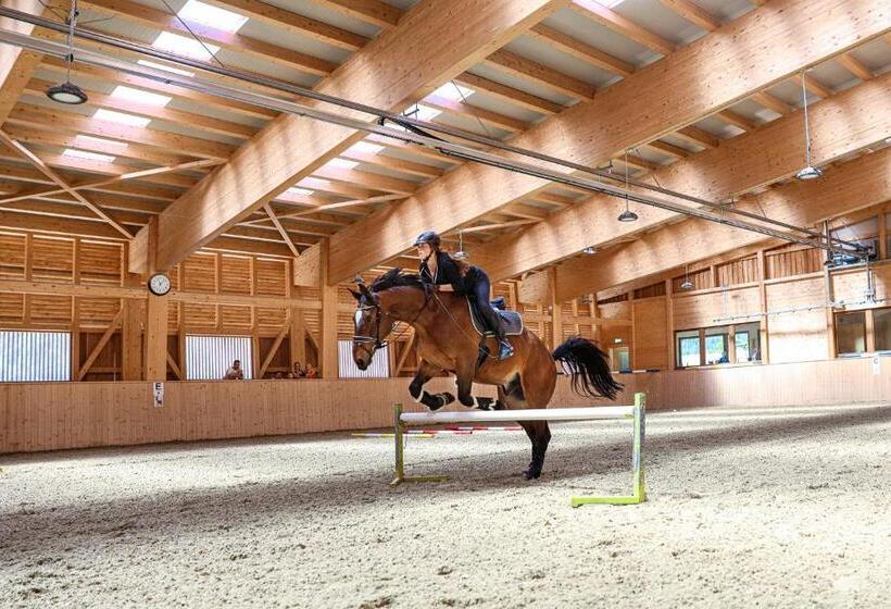 酒店 Familienresort Buchau