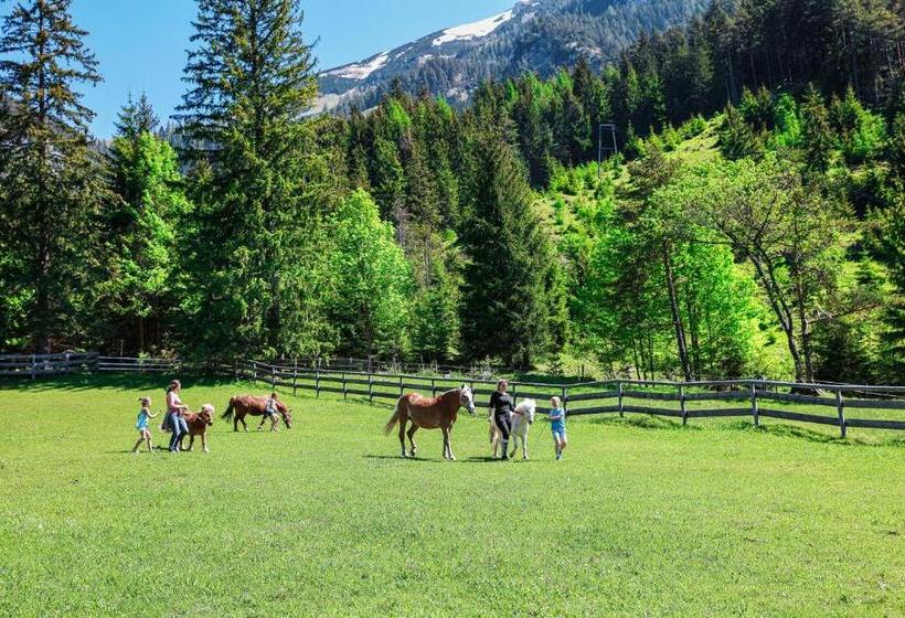 酒店 Familienresort Buchau