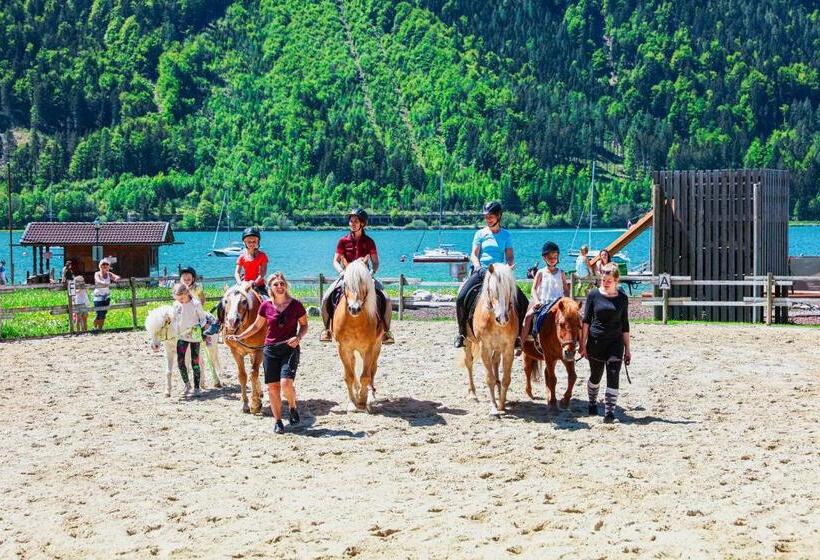 酒店 Familienresort Buchau