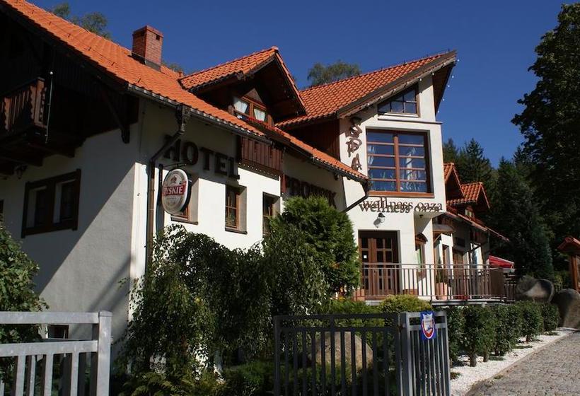 Отель Promyk Wellness & Spa