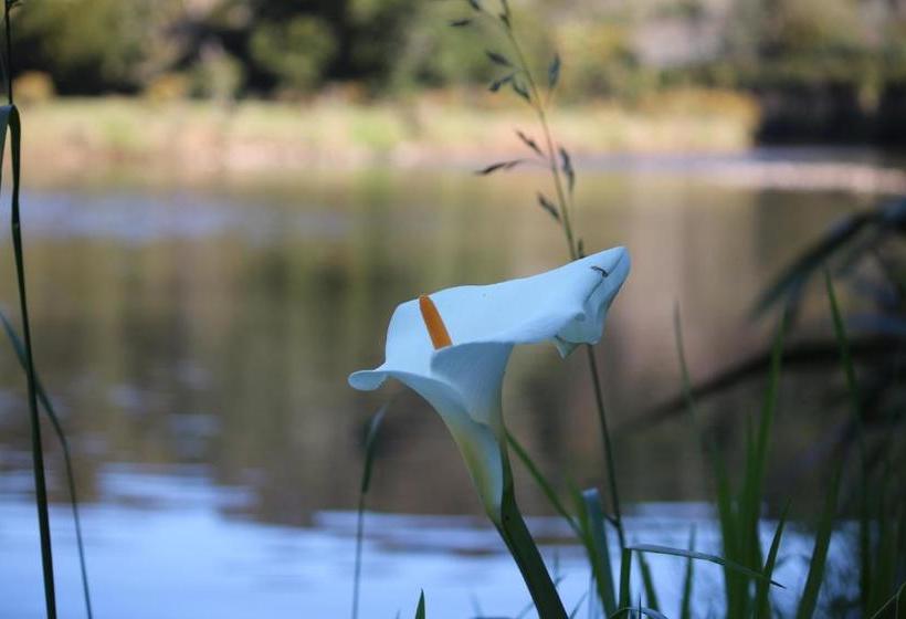 Отель Takou River Lodge